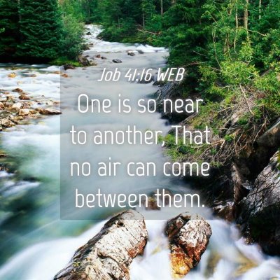 Picture 04 - Job 41:16 WEB - One is so near to another, That no air can come - Bible Verse Picture