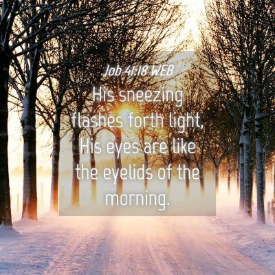 Picture 04 - Job 41:18 WEB - His sneezing flashes forth light, His eyes are - Bible Verse Picture