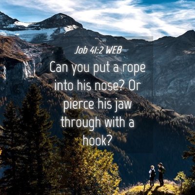 Picture 04 - Job 41:2 WEB - Can you put a rope into his nose? Or pierce his - Bible Verse Picture