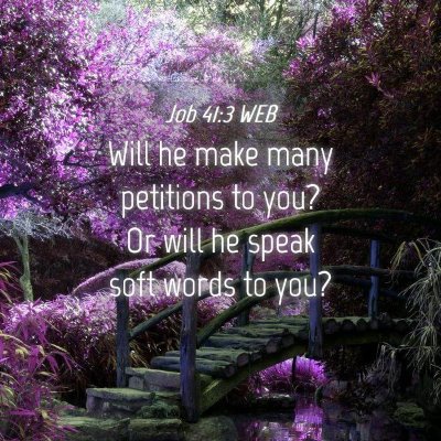 Picture 04 - Job 41:3 WEB - Will he make many petitions to you? Or will he - Bible Verse Picture