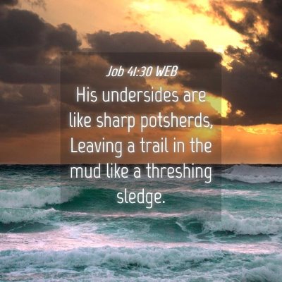 Picture 04 - Job 41:30 WEB - His undersides are like sharp potsherds, Leaving - Bible Verse Picture