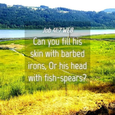 Picture 04 - Job 41:7 WEB - Can you fill his skin with barbed irons, Or his - Bible Verse Picture