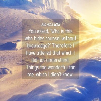 Picture 04 - Job 42:3 WEB - You asked, 'Who is this who hides counsel without - Bible Verse Picture
