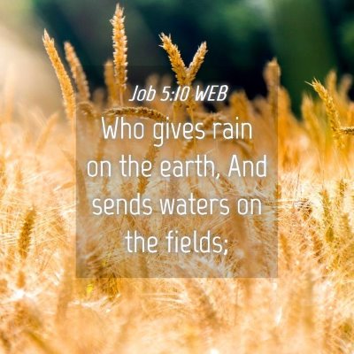 Picture 04 - Job 5:10 WEB - Who gives rain on the earth, And sends waters on - Bible Verse Picture