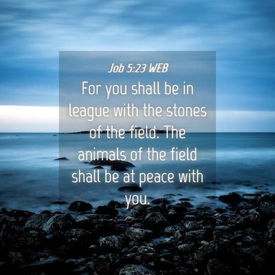 Picture 04 - Job 5:23 WEB - For you shall be in league with the stones of the - Bible Verse Picture
