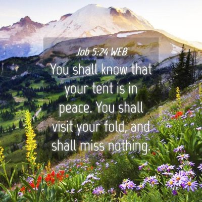 Picture 04 - Job 5:24 WEB - You shall know that your tent is in peace. You - Bible Verse Picture