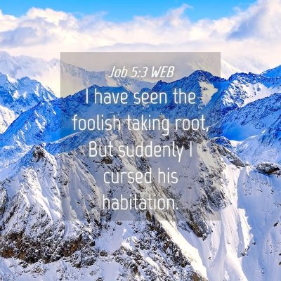 Picture 04 - Job 5:3 WEB - I have seen the foolish taking root, But suddenly - Bible Verse Picture