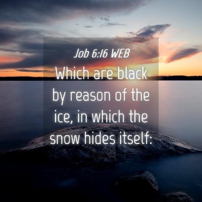 Picture 04 - Job 6:16 WEB - Which are black by reason of the ice, in which - Bible Verse Picture