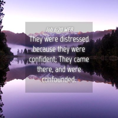 Picture 04 - Job 6:20 WEB - They were distressed because they were confident; - Bible Verse Picture