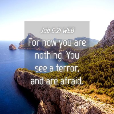 Picture 04 - Job 6:21 WEB - For now you are nothing. You see a terror, and - Bible Verse Picture