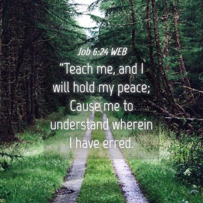 Picture 04 - Job 6:24 WEB - 