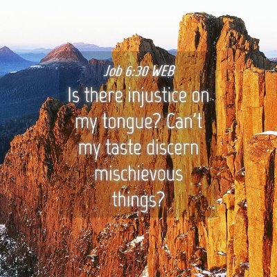 Picture 04 - Job 6:30 WEB - Is there injustice on my tongue? Can't my taste - Bible Verse Picture