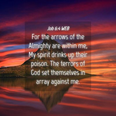 Picture 04 - Job 6:4 WEB - For the arrows of the Almighty are within me, My - Bible Verse Picture