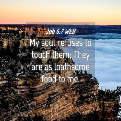 Picture 04 - Job 6:7 WEB - My soul refuses to touch them; They are as - Bible Verse Picture