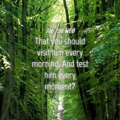 Picture 04 - Job 7:18 WEB - That you should visit him every morning, And test - Bible Verse Picture