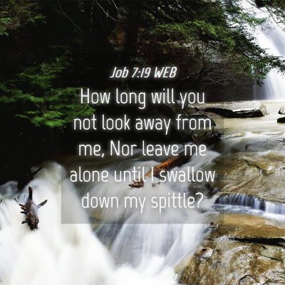 Picture 04 - Job 7:19 WEB - How long will you not look away from me, Nor - Bible Verse Picture