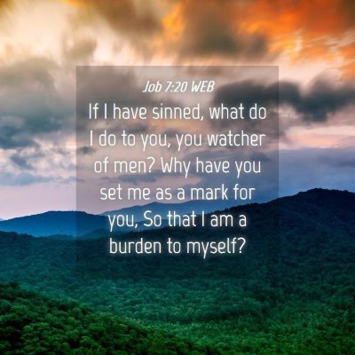 Picture 04 - Job 7:20 WEB - If I have sinned, what do I do to you, you - Bible Verse Picture