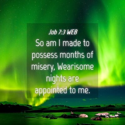 Picture 04 - Job 7:3 WEB - So am I made to possess months of misery, - Bible Verse Picture