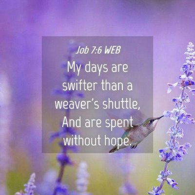 Picture 04 - Job 7:6 WEB - My days are swifter than a weaver's shuttle, And - Bible Verse Picture