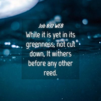 Picture 04 - Job 8:12 WEB - While it is yet in its greenness, not cut down, - Bible Verse Picture