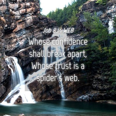 Picture 04 - Job 8:14 WEB - Whose confidence shall break apart, Whose trust - Bible Verse Picture