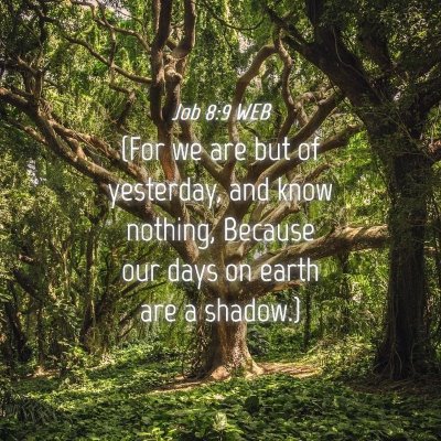 Picture 04 - Job 8:9 WEB - (For we are but of yesterday, and know nothing, - Bible Verse Picture