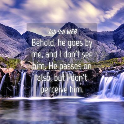 Picture 04 - Job 9:11 WEB - Behold, he goes by me, and I don't see him. He - Bible Verse Picture