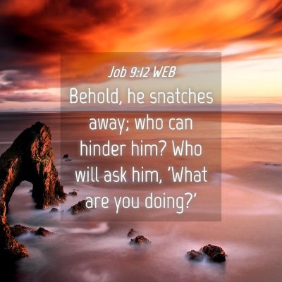 Picture 04 - Job 9:12 WEB - Behold, he snatches away; who can hinder him? Who - Bible Verse Picture