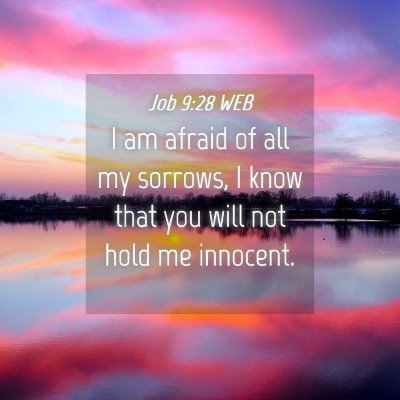 Picture 04 - Job 9:28 WEB - I am afraid of all my sorrows, I know that you - Bible Verse Picture