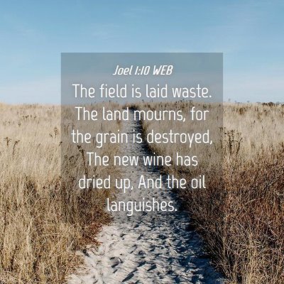 Picture 04 - Joel 1:10 WEB - The field is laid waste. The land mourns, for the - Bible Verse Picture
