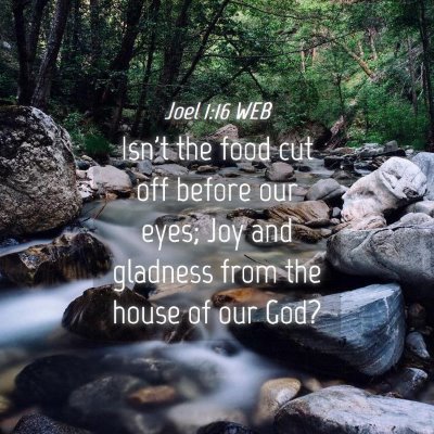 Picture 04 - Joel 1:16 WEB - Isn't the food cut off before our eyes; Joy and - Bible Verse Picture