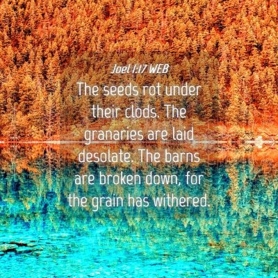 Picture 04 - Joel 1:17 WEB - The seeds rot under their clods. The granaries - Bible Verse Picture
