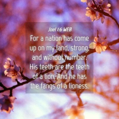 Picture 04 - Joel 1:6 WEB - For a nation has come up on my land, strong, and - Bible Verse Picture