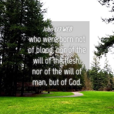 Picture 04 - John 1:13 WEB - who were born not of blood, nor of the will of - Bible Verse Picture
