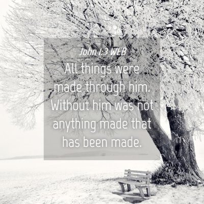 Picture 04 - John 1:3 WEB - All things were made through him. Without him was - Bible Verse Picture
