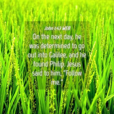 Picture 04 - John 1:43 WEB - On the next day, he was determined to go out into - Bible Verse Picture