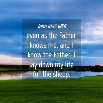 Picture 04 - John 10:15 WEB - even as the Father knows me, and I know the - Bible Verse Picture