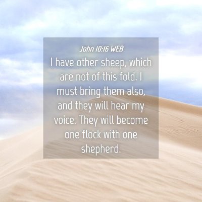 Picture 04 - John 10:16 WEB - I have other sheep, which are not of this fold. I - Bible Verse Picture