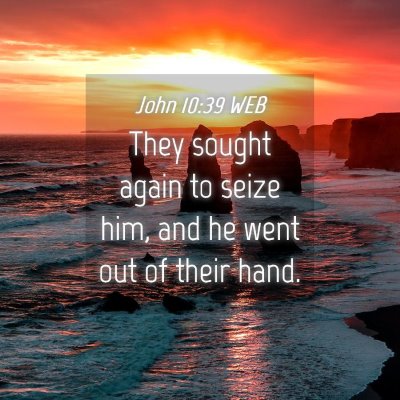 Picture 04 - John 10:39 WEB - They sought again to seize him, and he went out - Bible Verse Picture
