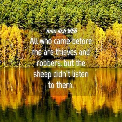 Picture 04 - John 10:8 WEB - All who came before me are thieves and robbers, - Bible Verse Picture