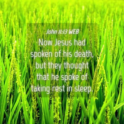Picture 04 - John 11:13 WEB - Now Jesus had spoken of his death, but they - Bible Verse Picture
