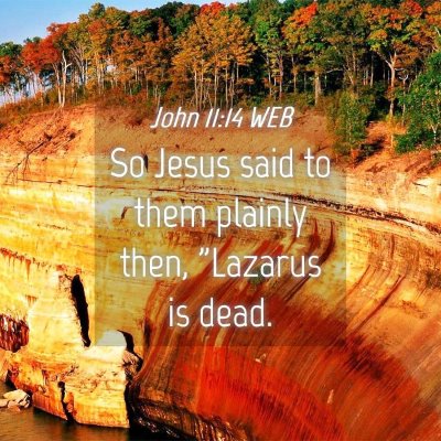 Picture 04 - John 11:14 WEB - So Jesus said to them plainly then, 