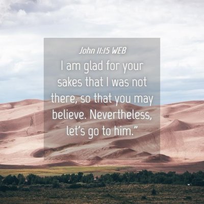 Picture 04 - John 11:15 WEB - I am glad for your sakes that I was not there, so - Bible Verse Picture