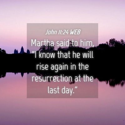 Picture 04 - John 11:24 WEB - Martha said to him, 