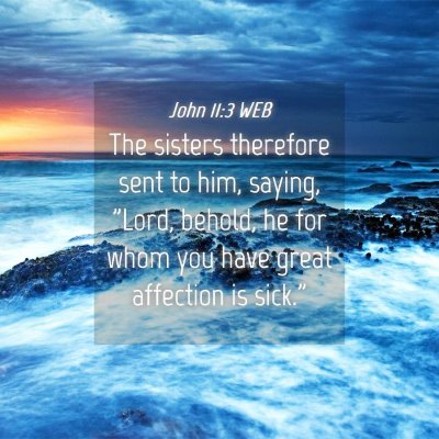 Picture 04 - John 11:3 WEB - The sisters therefore sent to him, saying, 