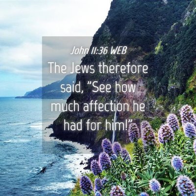 Picture 04 - John 11:36 WEB - The Jews therefore said, 