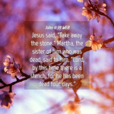 Picture 04 - John 11:39 WEB - Jesus said, 