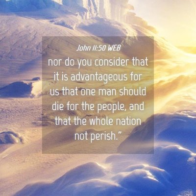 Picture 04 - John 11:50 WEB - nor do you consider that it is advantageous for - Bible Verse Picture