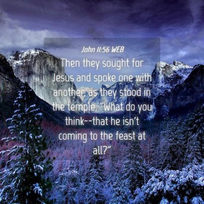 Picture 04 - John 11:56 WEB - Then they sought for Jesus and spoke one with - Bible Verse Picture