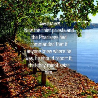 Picture 04 - John 11:57 WEB - Now the chief priests and the Pharisees had - Bible Verse Picture
